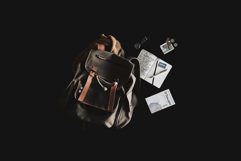 Travel Backpack